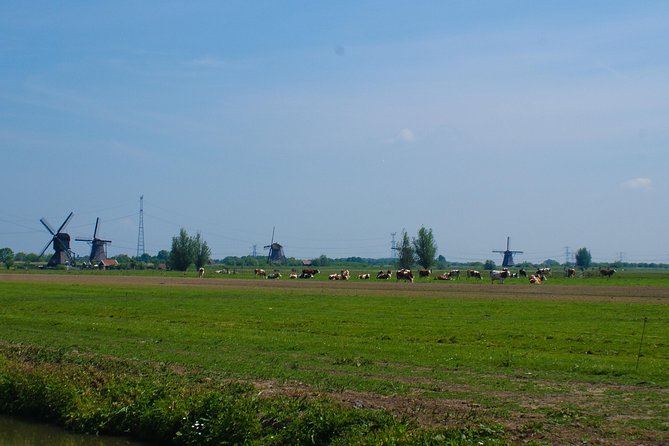 Kinderdijk Area Cycling Tour - Seeing an authentic working windmill