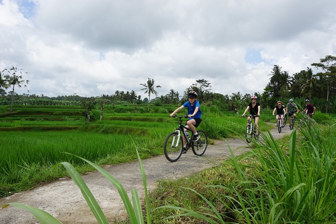 Kintamani Cultural and Nature Cycling Tour ( Manual Bike ) - A downhill start in Kintamani