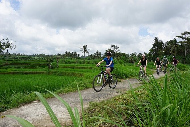 Kintamani Cultural and Nature Cycling Tour ( Manual Bike ) - Rice-field irrigation in Bresela