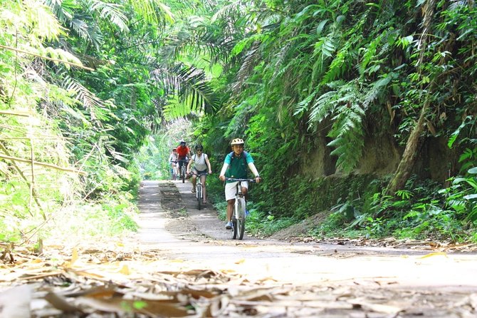Kintamani Cultural and Nature Cycling Tour ( Manual Bike ) - Price, group size, and practical value