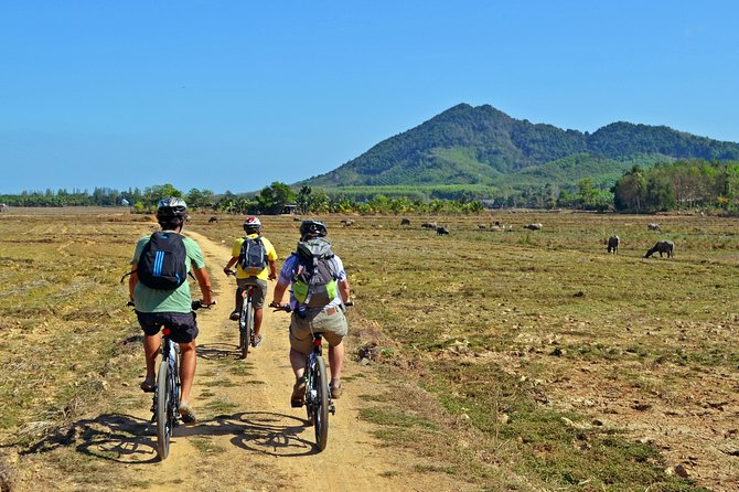 Koh Yao Noi Full Day Tour with Bike Ride & Lunch - The guide, safety, and cycling comfort