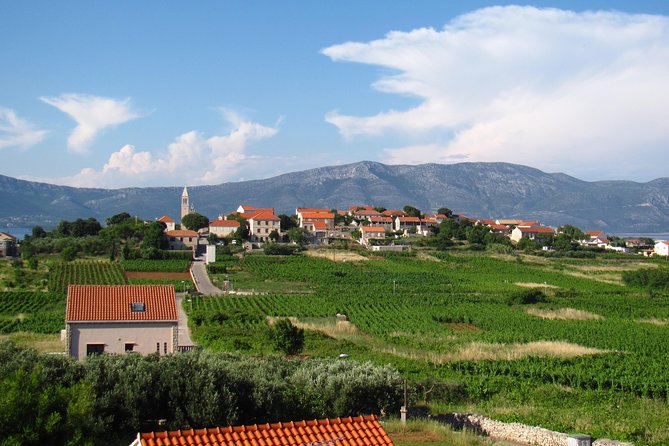 Korcula Bike & Wine Tour | Wine Tasting in Lumbarda - Who Should Book This Korcula Bike and Wine Tour?