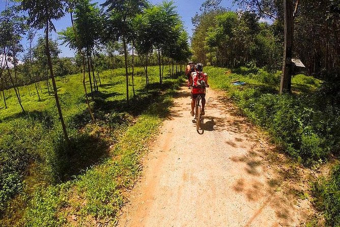 Krabi Countryside Eco Cycling Tour - Multiple Trails - Thapom Klong Song Nam and the waterway option