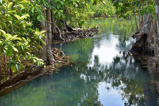 Krabi Countryside Eco Cycling Tour - Multiple Trails - Lunch, equipment, and what the price covers