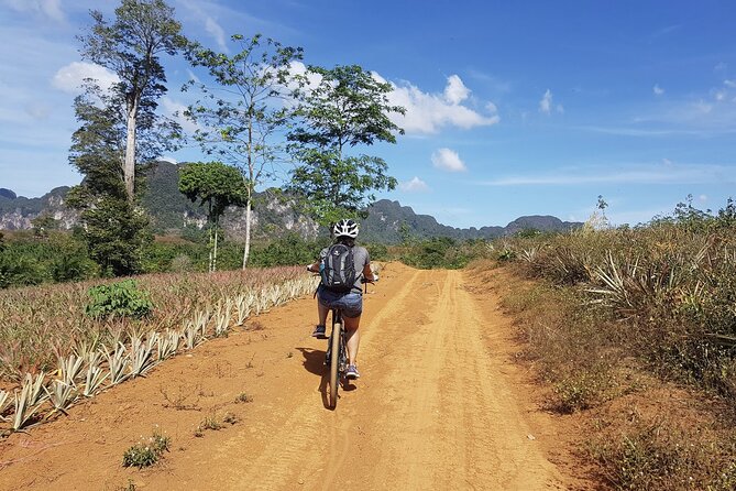 Krabi Countryside Eco Cycling Tour - Multiple Trails - Picking the right route for your legs