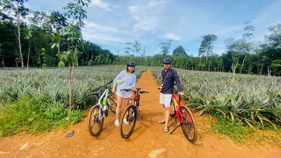 Krabi: Cycling Tour To Krabi - Village lanes, plantations, and an old farm house