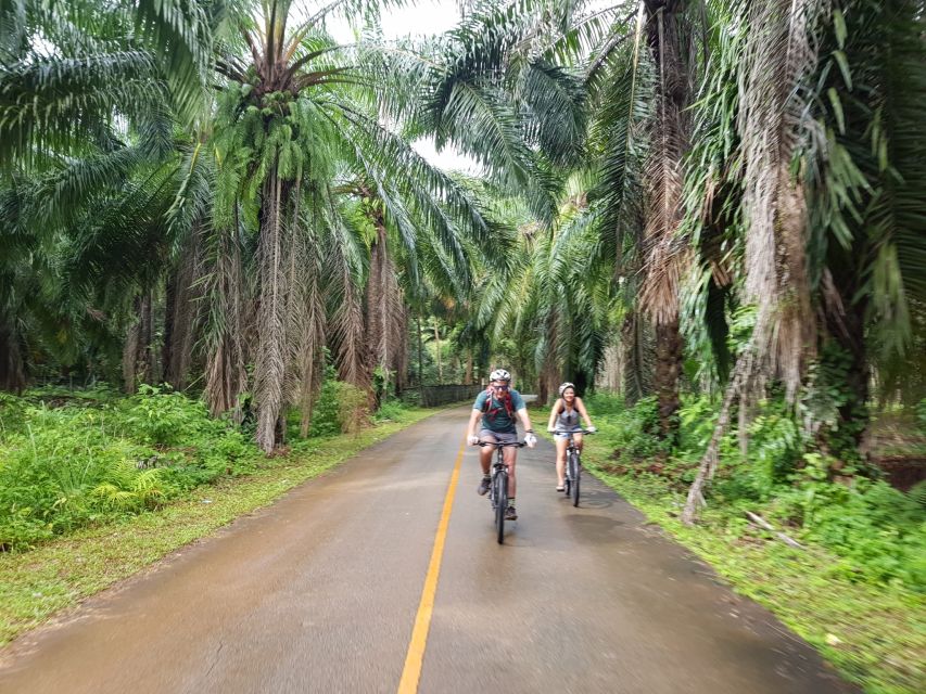 Krabi: Cycling Tour To Krabi - The local market and everyday sights
