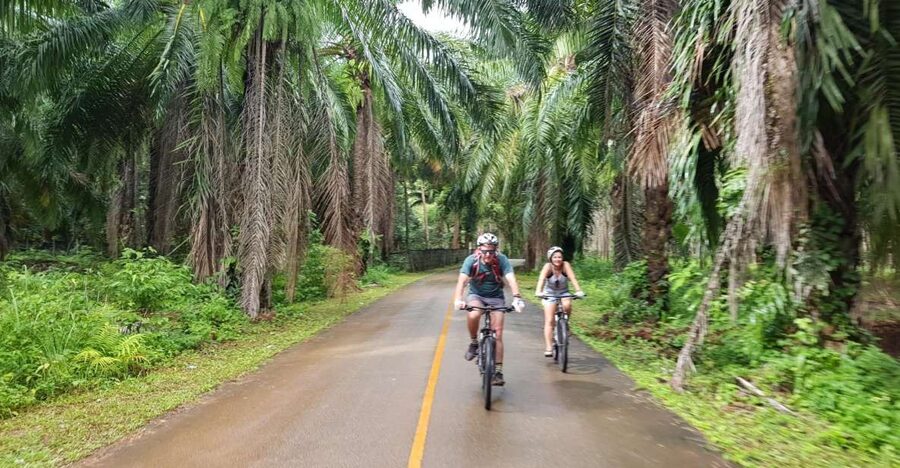 Krabi: Cycling Tour To Krabi - Riding toward Aonam Mao and Nemo farm