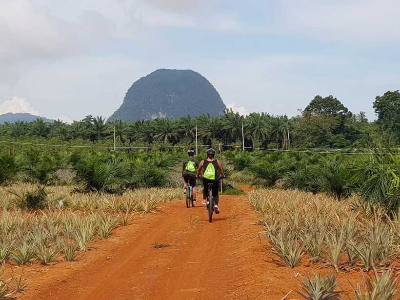 Krabi: Eco-Cycling Tour with Nature, Culture, and Fun - Rainforest, limestone cliffs, and the Andaman coast