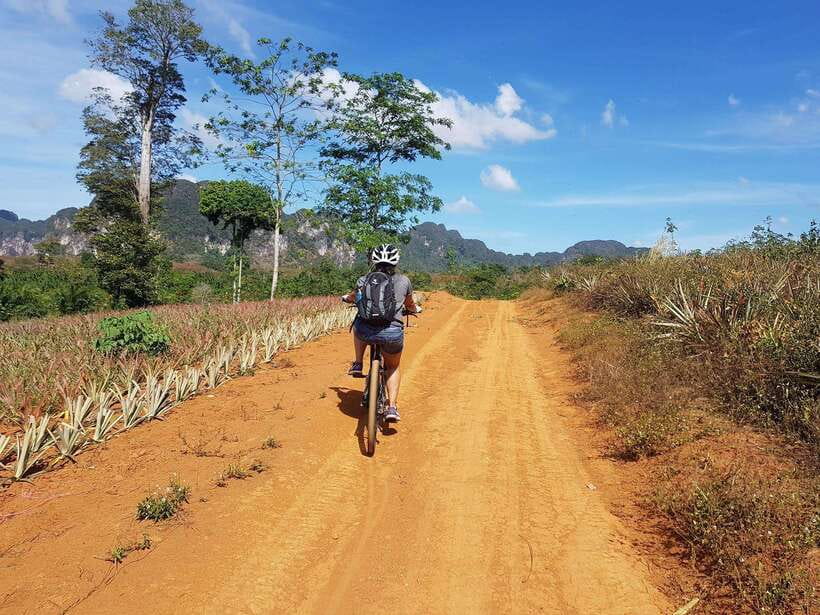 Krabi: Eco-Cycling Tour with Nature, Culture, and Fun - Crystal Pool and the hot springs