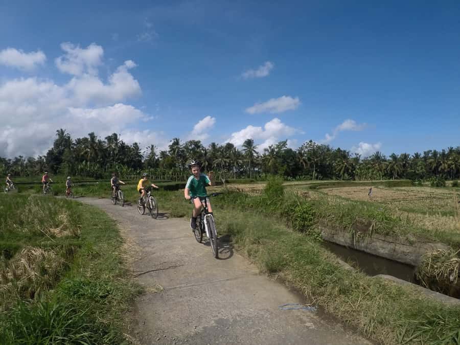 Kuta: Kintamani Culture and Nature Guided Cycling Tour - Why this downhill ride works so well in Bali