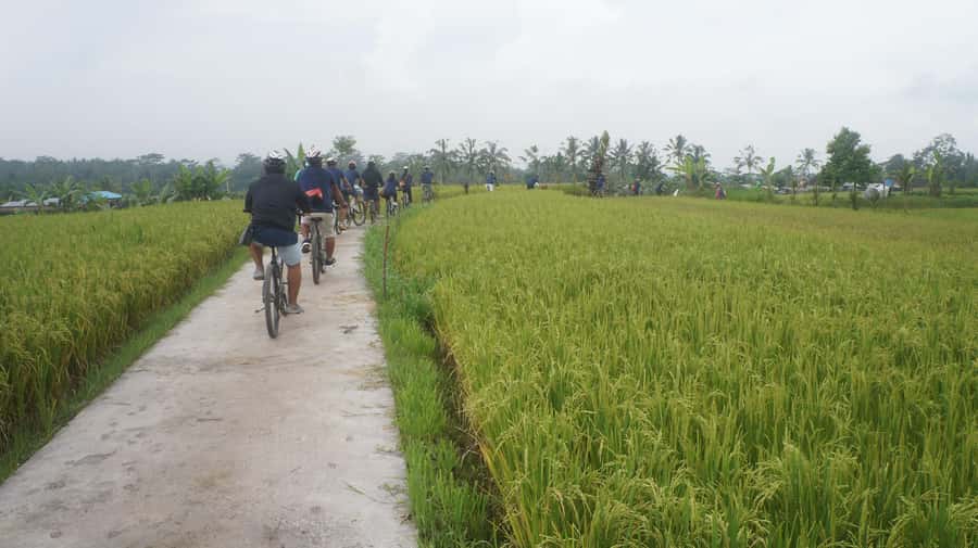 Kuta: Kintamani Culture and Nature Guided Cycling Tour - Stop one: a traditional Balinese house