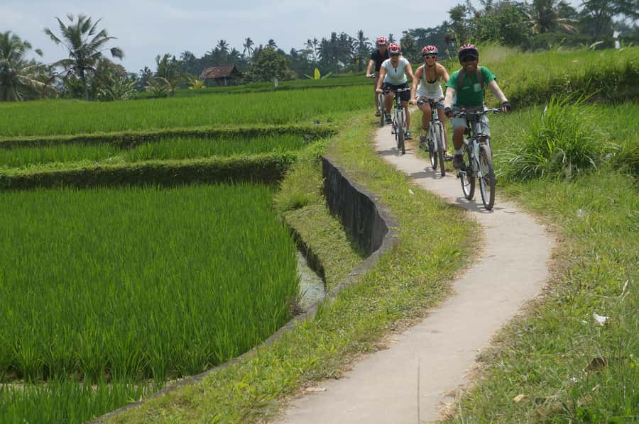 Kuta: Kintamani Culture and Nature Guided Cycling Tour - How difficult is the cycling?