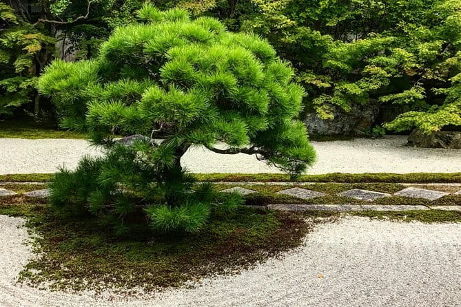 Kyoto: Higashiyama Slow Cycling Tour along the quiet waterfront - Finishing at Kyoto Gyoen National Garden