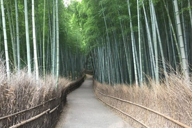 Kyoto Shogun Cycling Tour - Nijo Castle and the end of the Shogun era