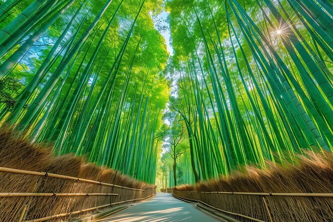 Kyoto Shogun Cycling Tour - Timing, meeting points, and booking details
