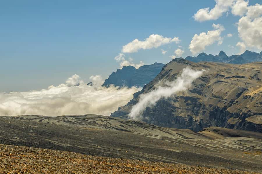 La Paz: Mountain Bike Down the World's Most Dangerous Road - La Senda Verde: a strong finish at the bottom