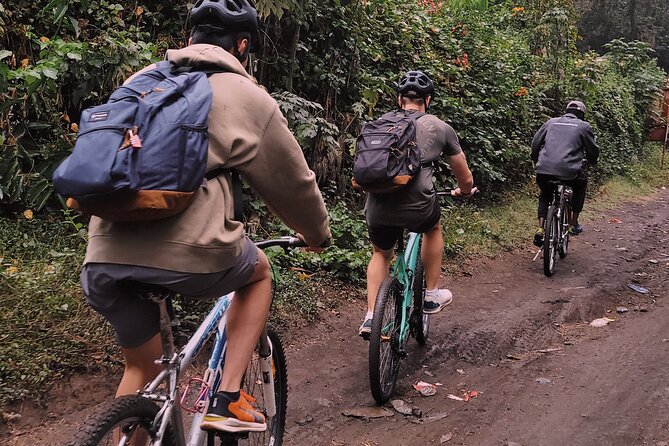 Lake duluti Canoeing/kayaking &/or cycling adventure with lunch - Coffee farms and village life around Tengeru