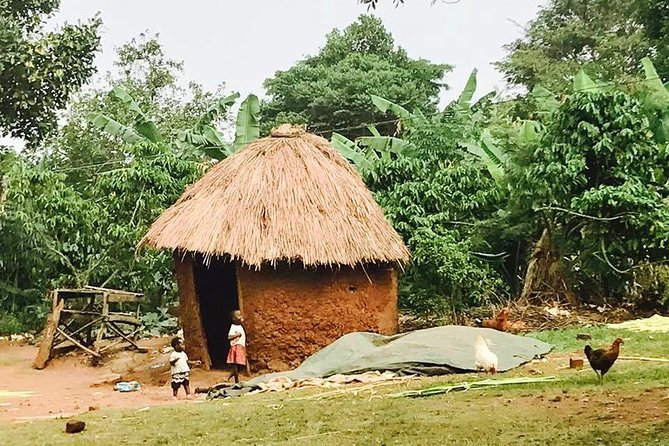 Lake Victoria Island Cycling Tour from Kampala - A close look at village life and the natural setting