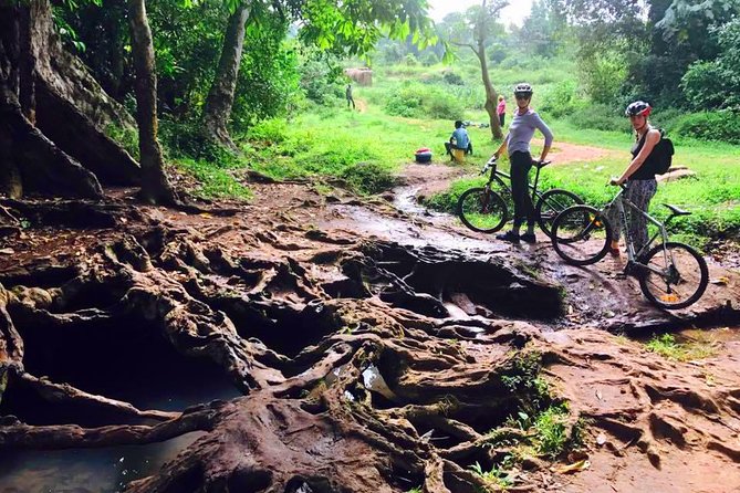 Lake Victoria Island Cycling Tour from Kampala - Is $62.23 a fair price?
