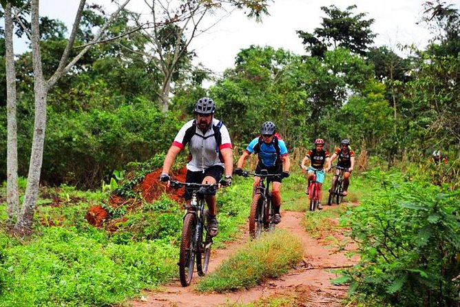Lake Victoria Island Cycling Tour from Kampala - What the guides add, and what you should request