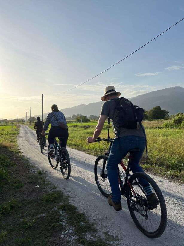 Langkawi: Countryside Bike Tour, Waterfall Swim & Dessert - Rice fields, birds, and everyday island life