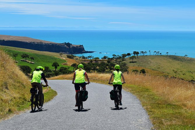 Lava Loop- Guided electric mountain bike tour in Akaroa - The crater rim and Akaroa Harbour views