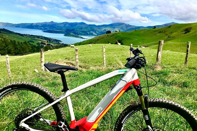 Lava Loop- Guided electric mountain bike tour in Akaroa - Climbing toward the volcanic crater rim