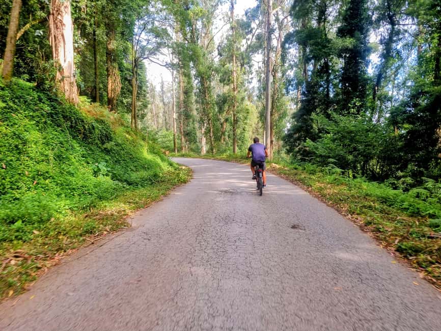 Lisbon: E-Bike Adventure to Belém & Monsanto com Degustação - Should you book the Belém and Monsanto e-bike tour?