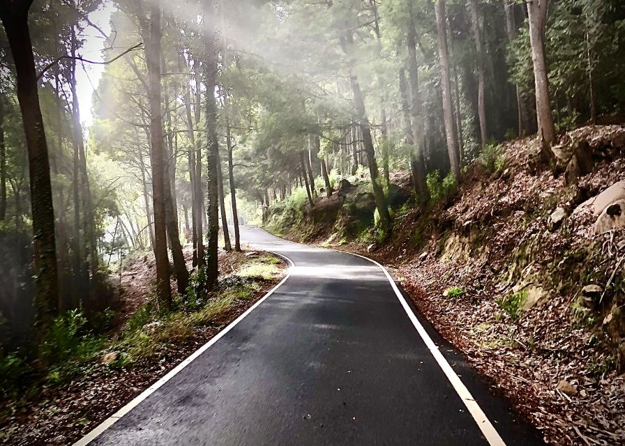 Lisbon: E-bike Trip from the Sintra Mountains to Cascais Sea - The downhill run to Guincho Beach
