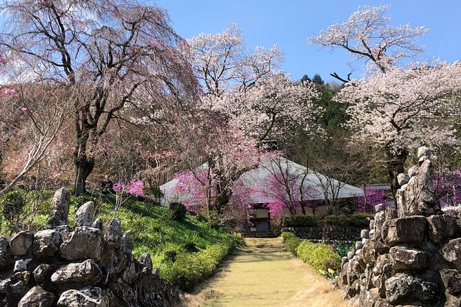 Little Adventure with Cycling in Tokyo No. 1 Crystal Clear River - E-biking past bridges, gardens, and valley cafes