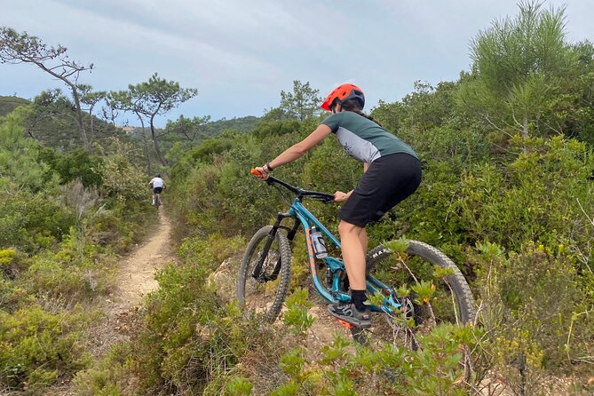 Lizandro Trails - Mountain Biking - Key points to know before booking