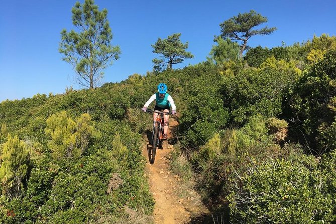 Lizandro Trails - Mountain Biking - Praia Sao Juliao gives you an easy start