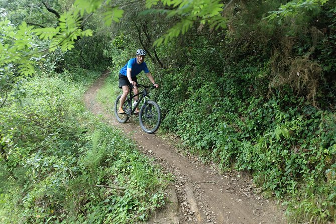 Lizandro Trails - Mountain Biking - The first climb reaches 200 meters