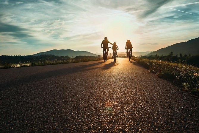 Ljubljana's Marshes Cycling Tour - Why the Ljubljana Marshes make a smart half-day outing
