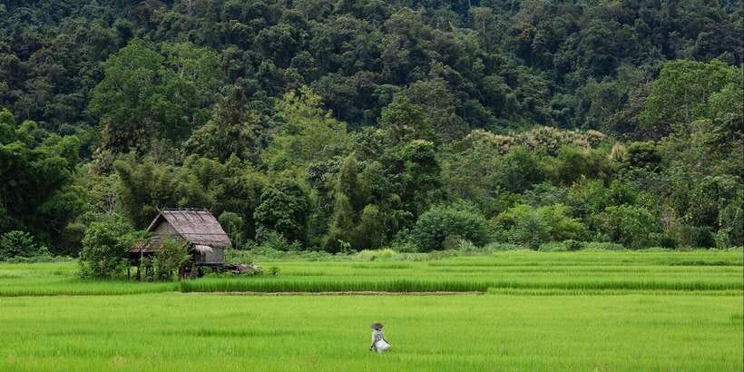 Luang Prabang: Countryside Mountain Bike Tour with Lunch - Who should book this ride?