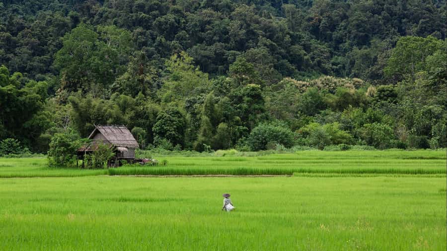 Luang Prabang: Countryside Mountain Bike Tour with Lunch - Ban Xieng Lek and the work behind mulberry paper