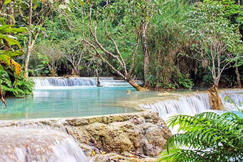 Luang Prabang: Kuang Si Bike Ride & Long-Tail Boat Cruise - Meeting the rescued Asiatic bears