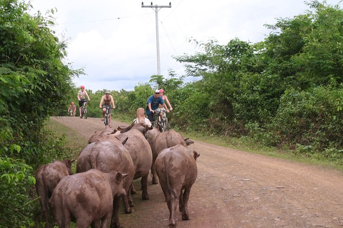 Luang Prabang Mountain Bike Cycling Tour - Bikes, fitness, and comfort