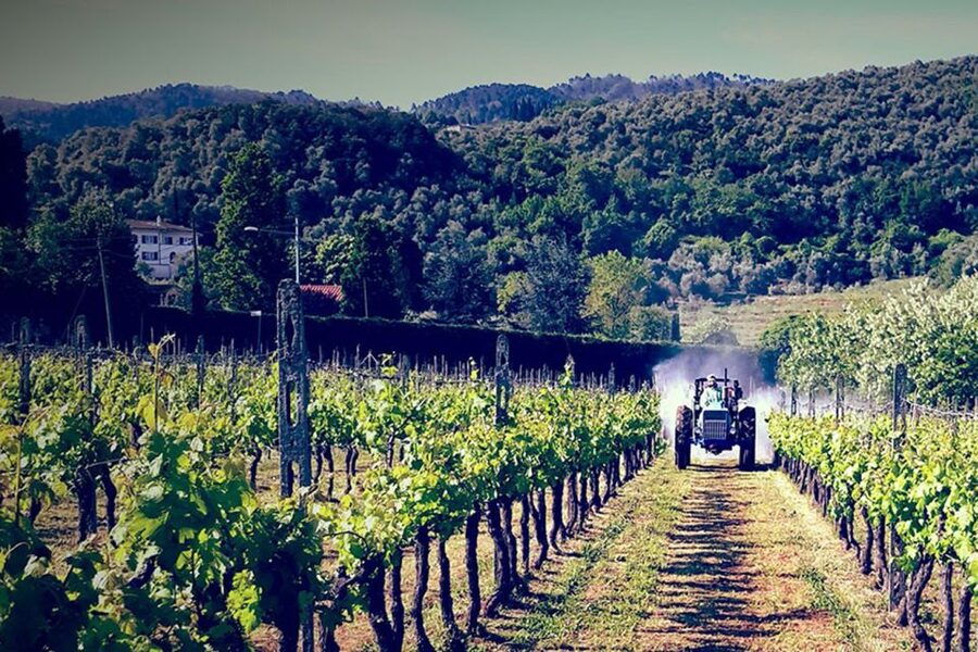 Lucca: Guided E-Bike and Wine Tour - Key points at a glance