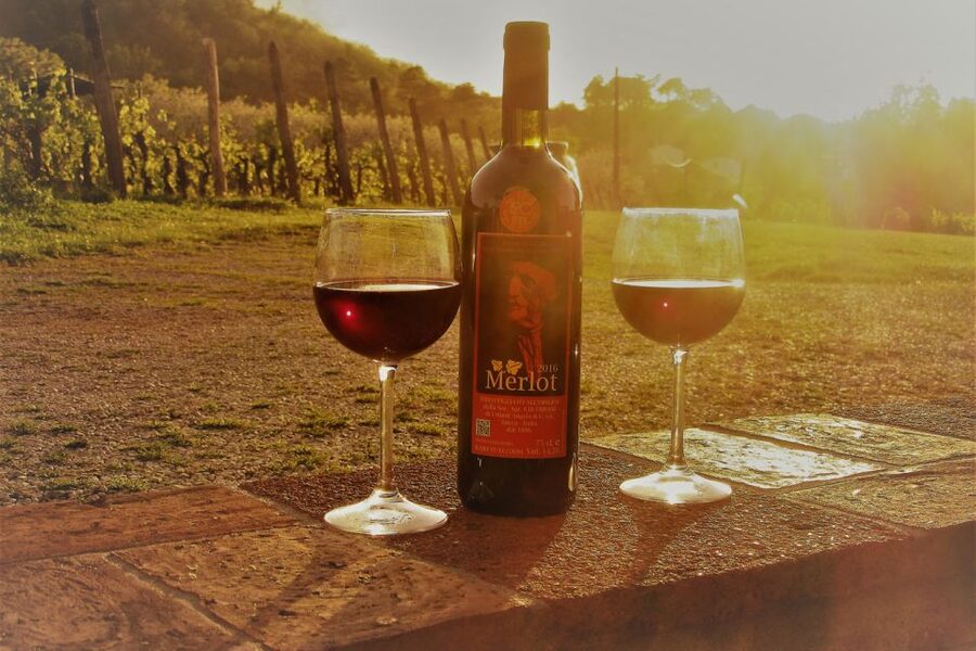 Lucca: Guided E-Bike and Wine Tour - Why this Lucca e-bike tour works so well