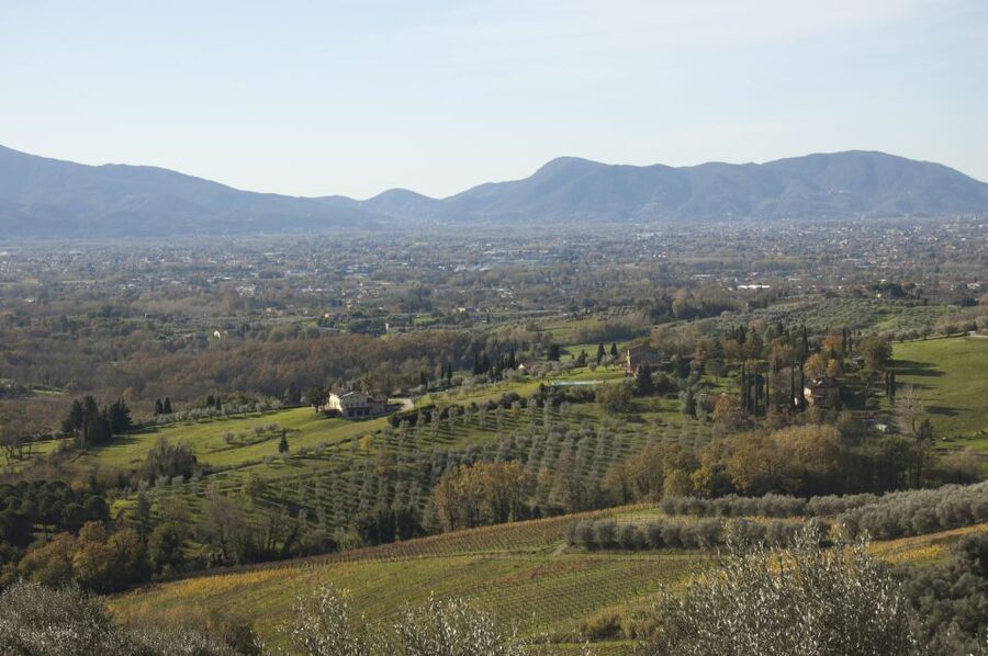 Lucca: Guided E-Bike and Wine Tour - Leaving the city for Tuscan farm roads