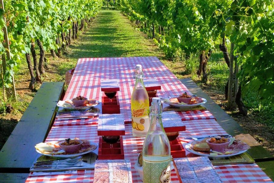 Lucca: Guided E-Bike and Wine Tour - Timing, weather, and practical planning