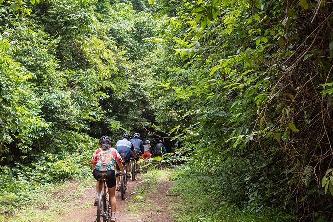 Ma Da Jungle Cycling Adventure - Key points to know before you book