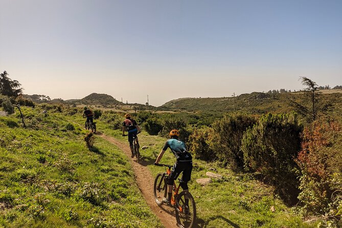 Madeira Island Guided Mountain Biking Adventure - The calm rhythm of Levada da Serra do Faial