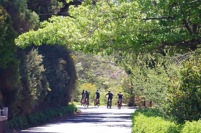 Madeira Island Guided Mountain Biking Adventure - Lunch, a drink, and a taste of local hospitality