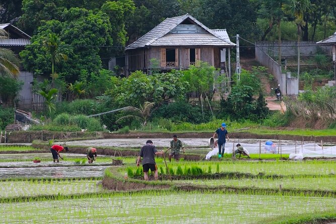 Mai Chau 1 Day: Cycle Through Peaceful Villages, Scenic Valleys - A stilt house and a closer look at daily life