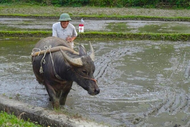 Mai Chau 1 Day: Cycle Through Peaceful Villages, Scenic Valleys - The short trek before the journey home