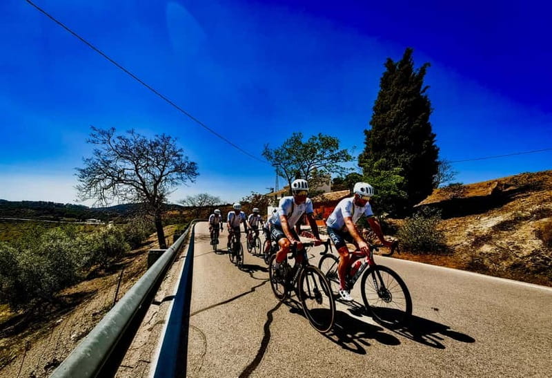 Málaga: Road Bike Tour with Guide and Bike Rental - Safety and support on the road
