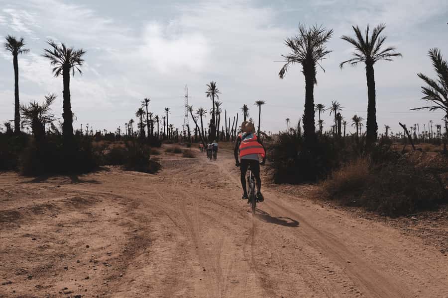 Marrakech: Cycling Tour in Palm Groove with Local Breakfast - Villas, palms, and village roads